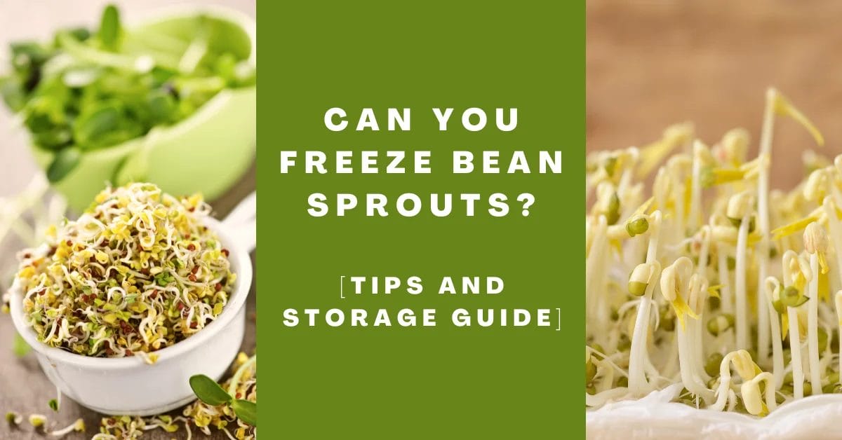 Can You Freeze Bean Sprouts_ [Tips and Storage Guide]
