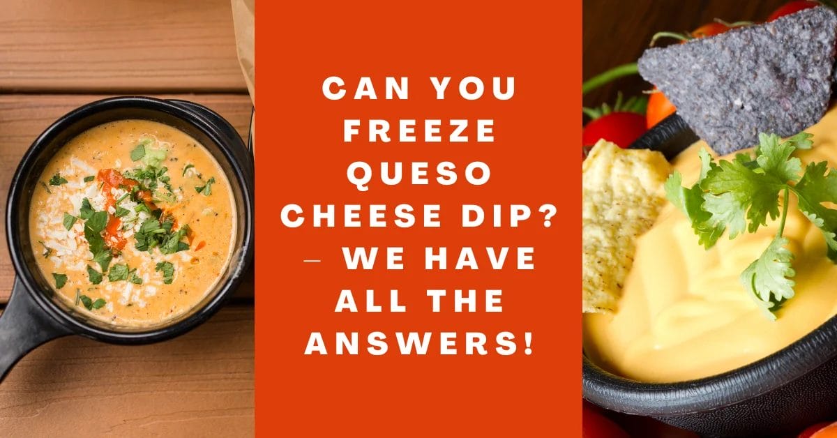 Can You Freeze Queso Cheese Dip_ – We have All the Answers!