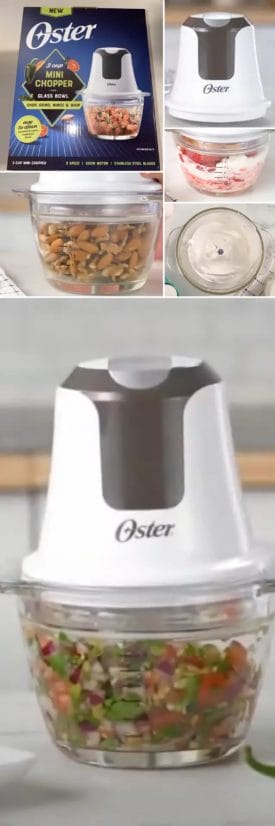oster glass bowl food processor tested in kitchen